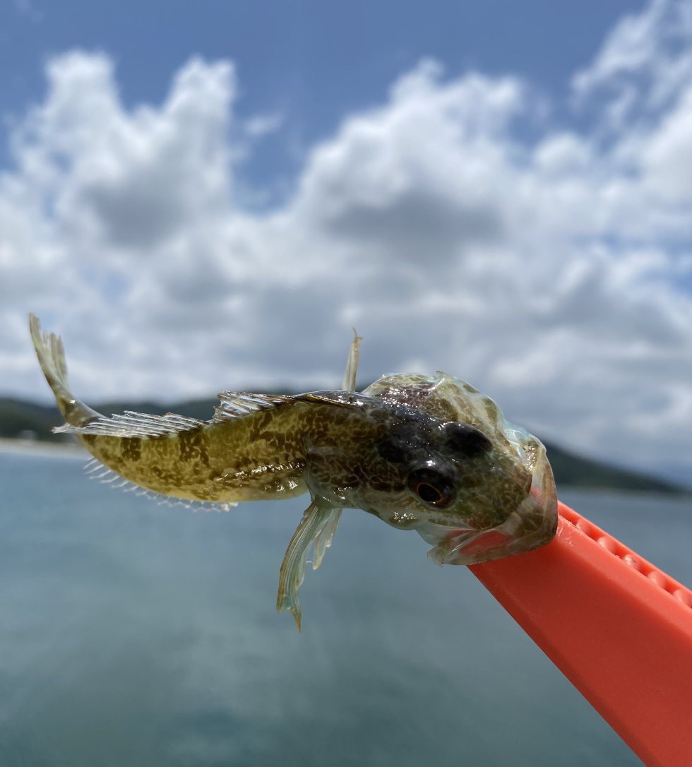 魚釣りに行ってきました