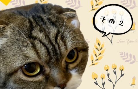 ねこ好き専務のゆるっとLife②　～寝かしつけはクリオネちゃんで～