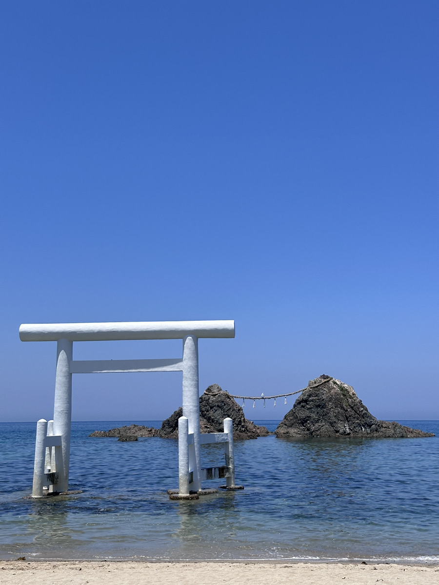 ドライブに行ってきました!