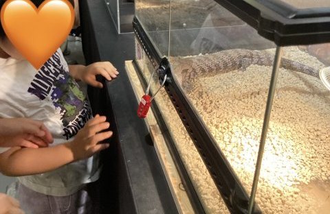 「ヤバイ生き物」見てきました