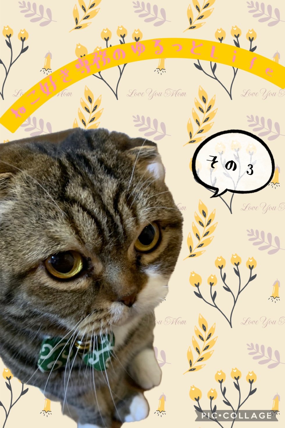 ねこ好き専務のゆるっとLife③ ~涼を求めて・大阪/海遊館~